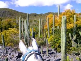 Horseback riding in the valley of Oaxaca, Mexico – Best Places In The World To Retire – International Living